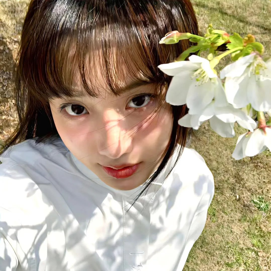 地震鸟 在线观看